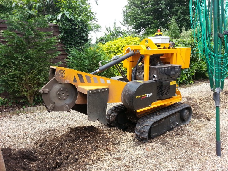 Read more about the article Stump Grinding Oxfordshire. Tree Stump Removal Specialists
