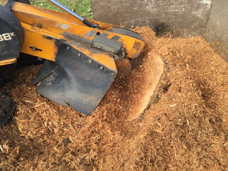 Read more about the article Tree Stump Grinding in Chesham