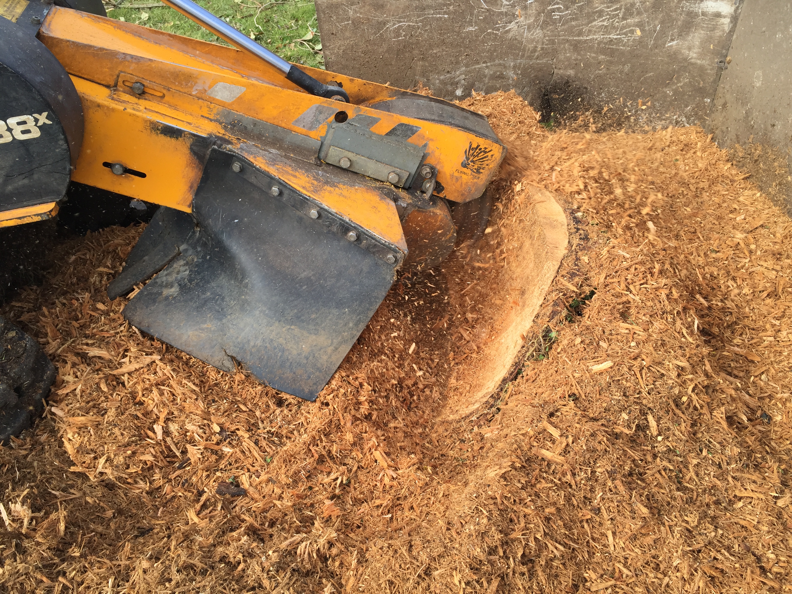 You are currently viewing Tree Stump Grinding in Chesham