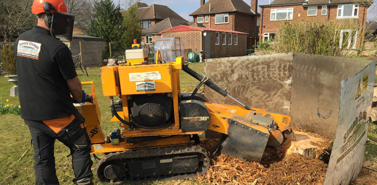 Read more about the article Stump Grinding & Tree Stump Removal in Thame