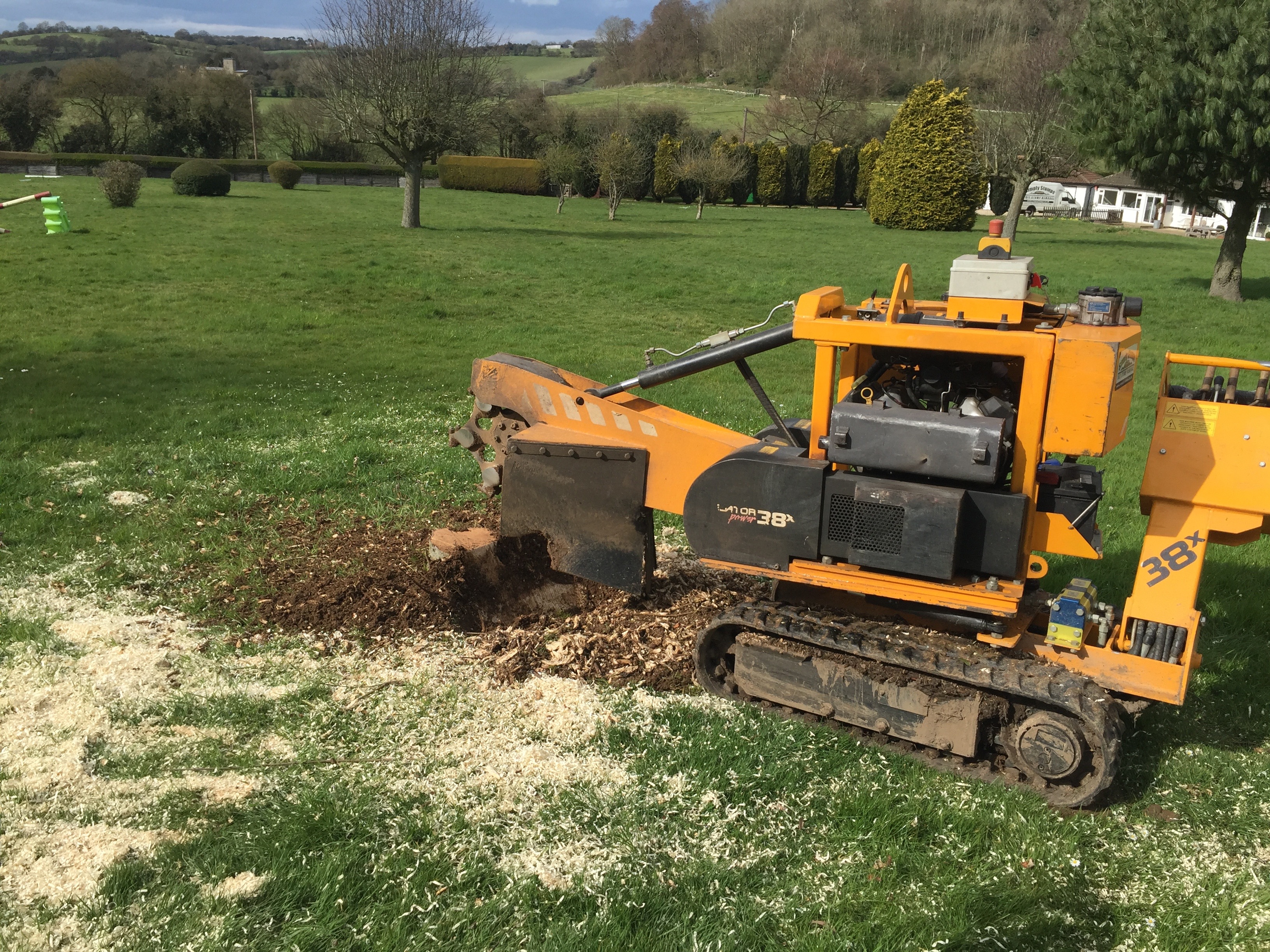 Read more about the article Stump grinding Sycamore stumps in Radnage to protect horses.