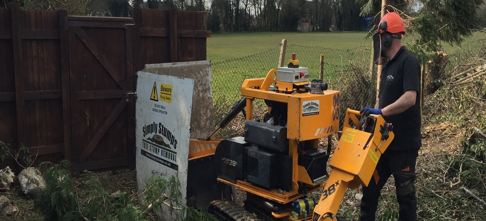 Read more about the article Tree Stump Grinding/Removal Denham & Ruislip