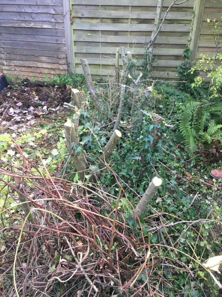 Stumps to be removed in Princes Risborough