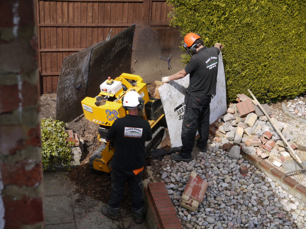 You are currently viewing Tree Stump Grinding in Henley on Thames