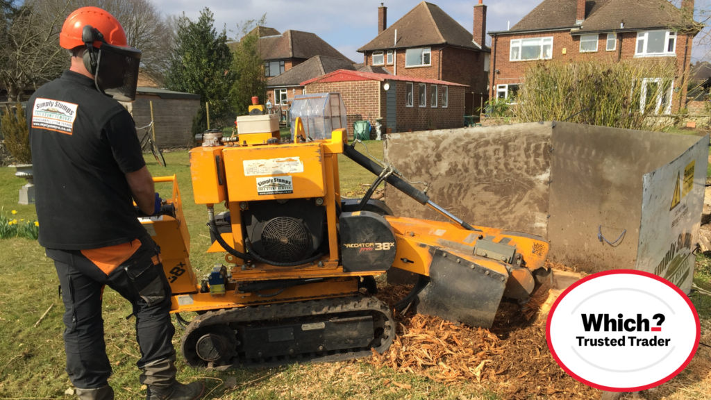 Image shows a tree stump grinding machine with operator grinding a stump, Which? Trusted traders logo in the corner.